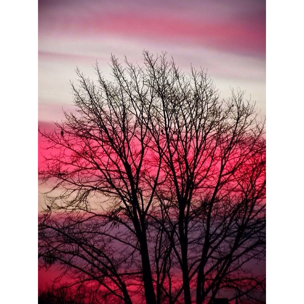 The Night Is&nbsp;Long