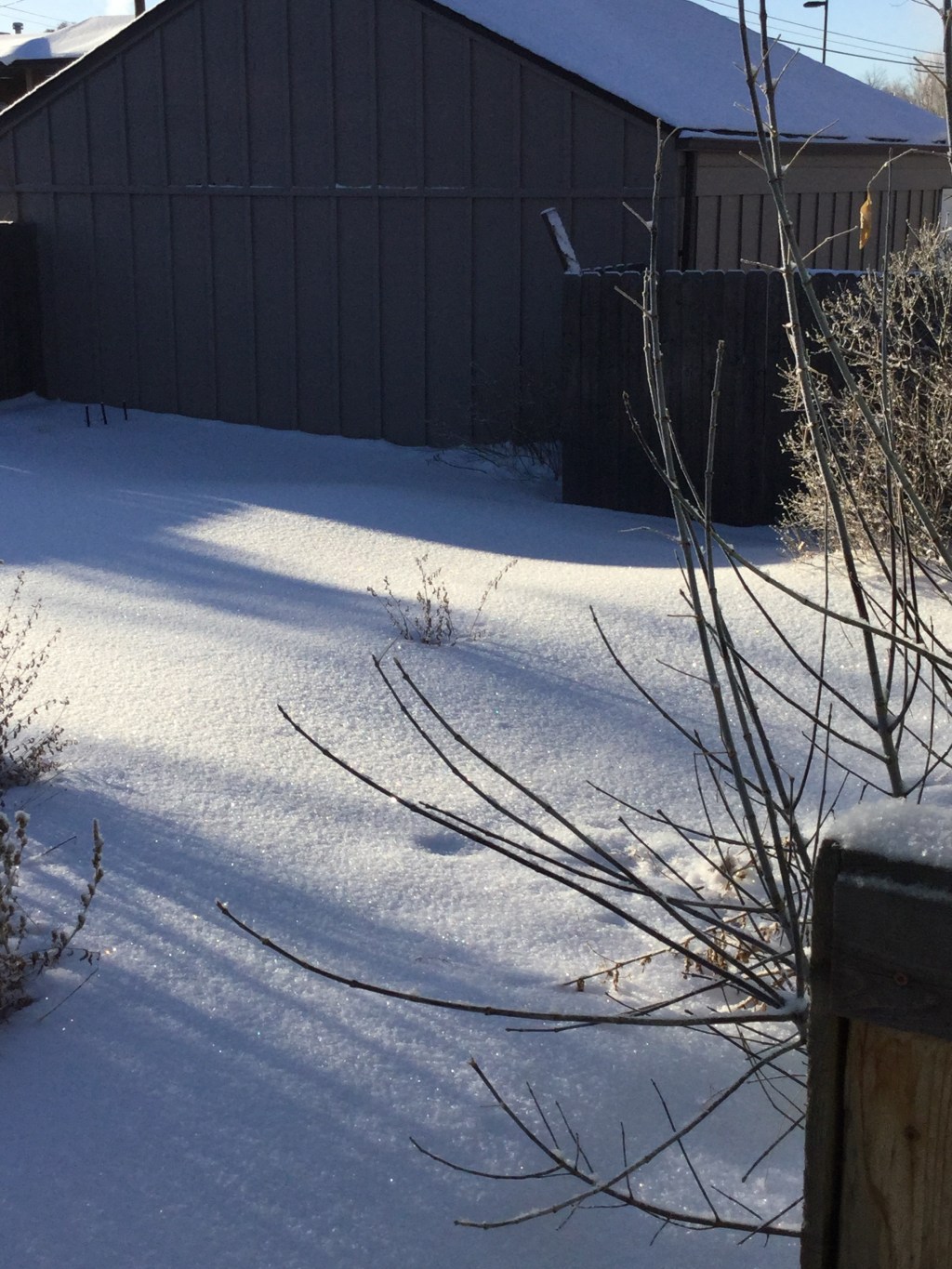 Moon Shine on&nbsp;Snow